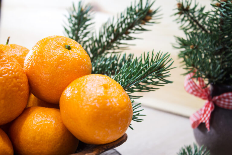 Clementiner, grankvistar, röd rosett, julkänsla